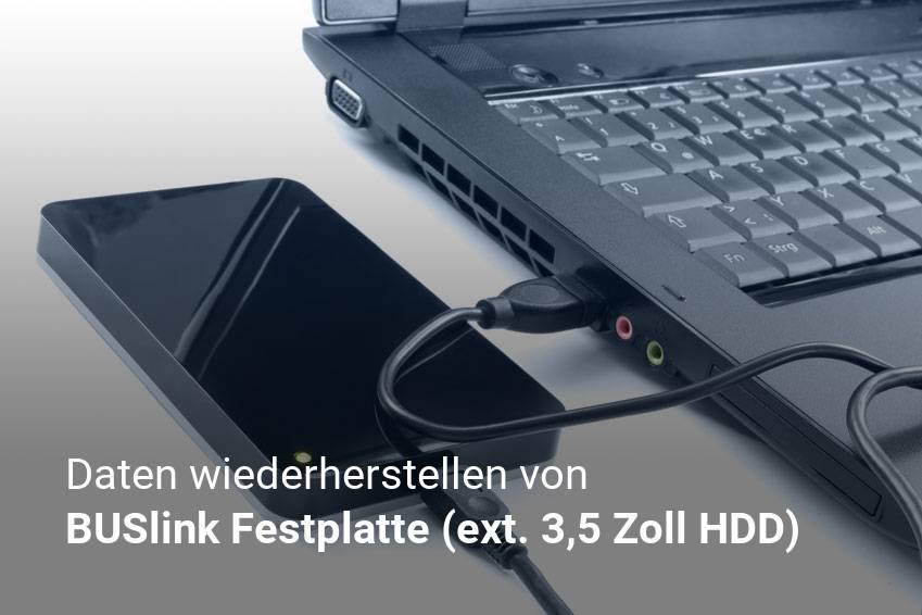 Gelöschte Dateien von BUSlink Festplatte (ext. 3,5 Zoll HDD) günstig wiederherstellen