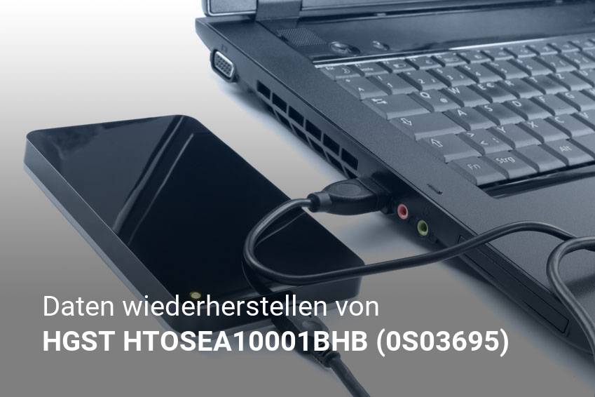 Gelöschte Dateien von HGST HTOSEA10001BHB (0S03695) günstig wiederherstellen
