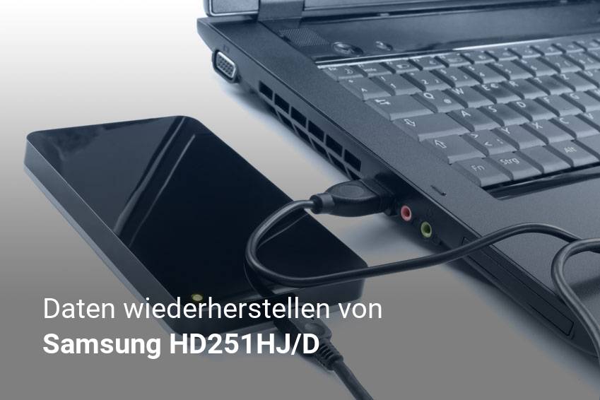 Gelöschte Dateien von Samsung HD251HJ/D günstig wiederherstellen
